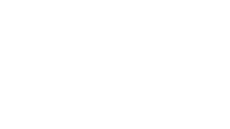 Global Quality Support aliado organizacional